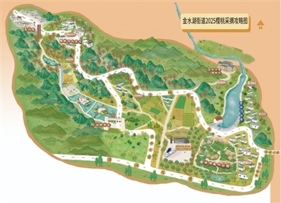金水湖街道2025樱桃采摘攻略图
