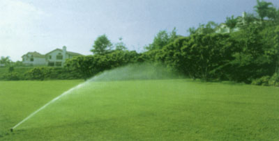 04_05_1.jpg (20871 bytes)