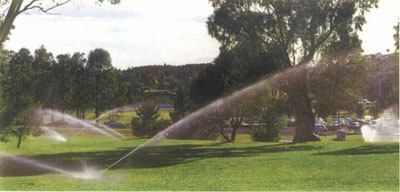 04_05_2.jpg (28551 bytes)