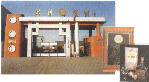 04_03_1.gif (94881 bytes)