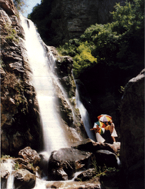 06_05_7.gif (80314 bytes)