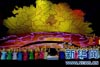 第32届中国洛阳牡丹文化节开幕