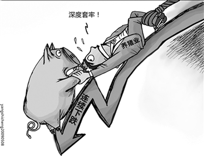 肉价降至三年最低 频繁“蹦极”为哪般？