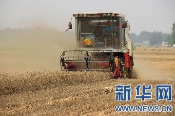 豫东大粮仓——商水县抓住晴好天气抢收忙【图】