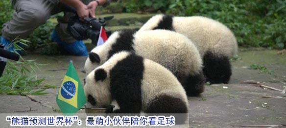 头条图片 新华网河南频道