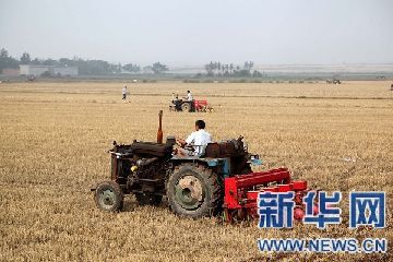 河南宝丰农民雨后忙夏种【组图】