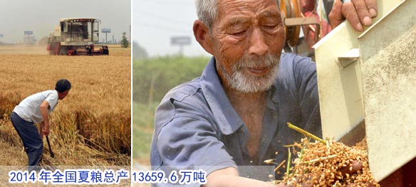 2014年全国夏粮总产13659.6万吨