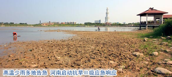 高温少雨多地告急 河南启动抗旱Ⅲ级应急响应