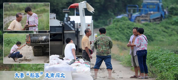 夫妻“稻客”走南闯北