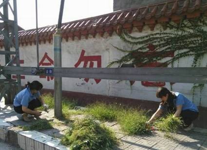 洛阳供电段清除杂草美化办公环境
