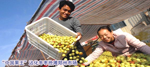 “中国果王”沾化冬枣抢滩郑州市场 邀市民品鉴