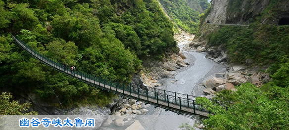 突发事件 新华网河南频道