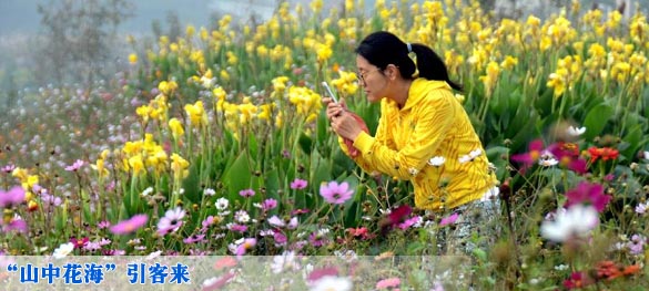 “山中花海”引客来