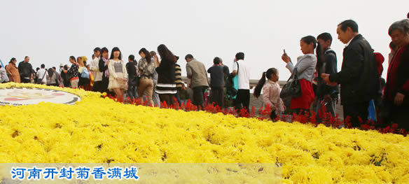 河南开封菊香满城