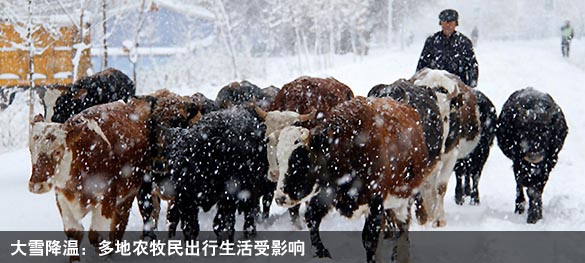 新华网河南频道--视频--豫剧集锦