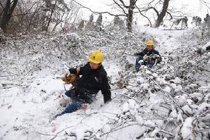 信阳供电公司：卧冰爬雪保供电