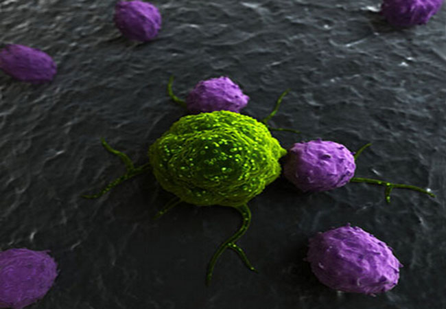 2月4日世界癌症日 如何科学预防癌症