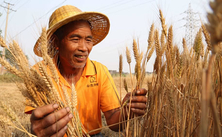 上海联手河南共建孵化基地 支持中小企业发展