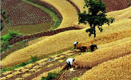 河南国企改革起航 机械装备业率先试水 (图)