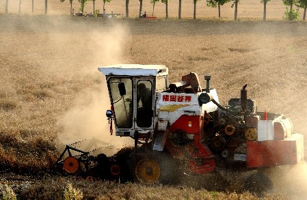 全国夏粮收获已过八成 夏粮丰收已成定局