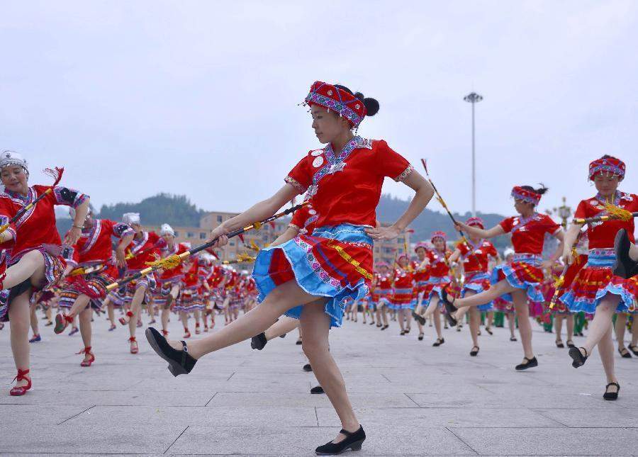 河南省与比利时切磋土豆种植技术