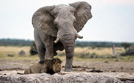 新华网河南频道