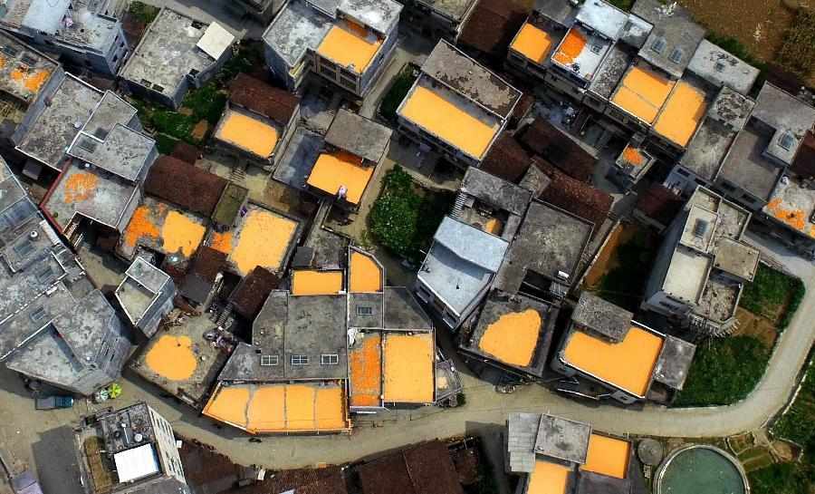 提醒平顶山的百姓,小心这个贼影…