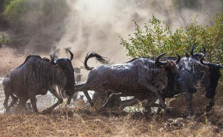 郑州至新疆开行自驾游运输班列 自驾出境游出