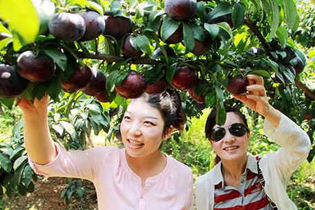 突发事件 新华网河南频道