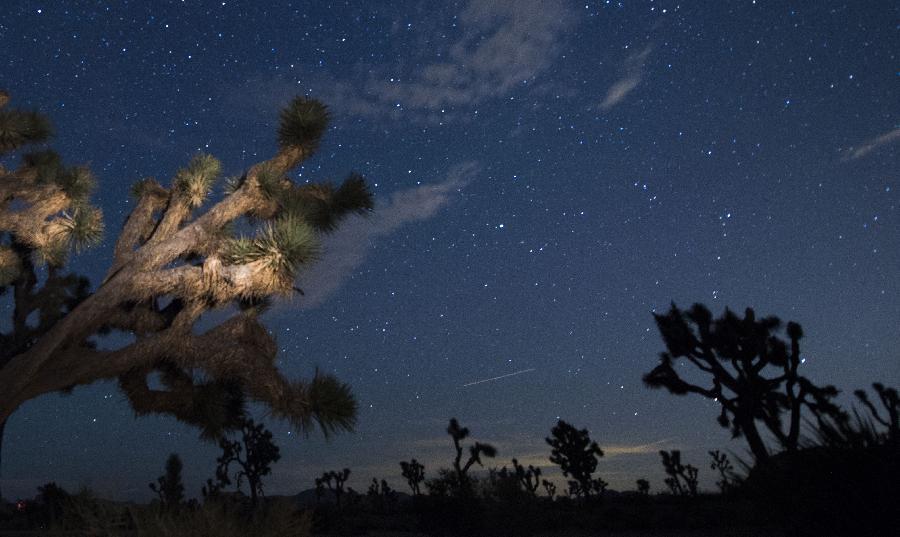解读巡视条例:党委一把手是第一责任人