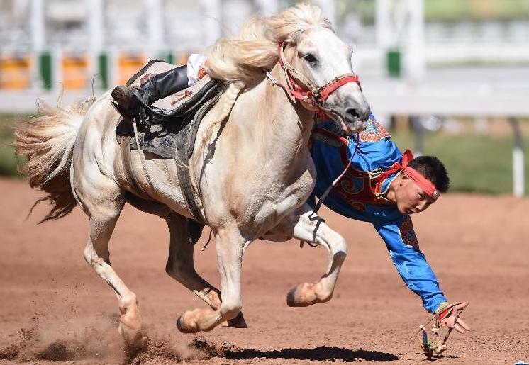 解读巡视条例:党委一把手是第一责任人