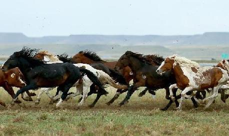 河南省创建国家级现代农业科技示范区