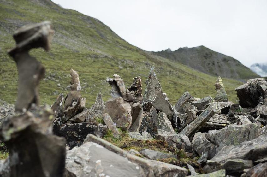平顶山市明年拟建4个县级现代烟草农业科技园