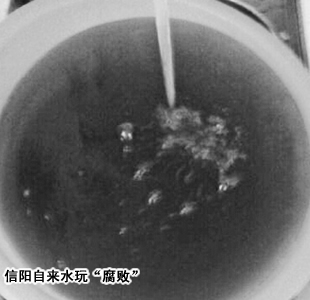 信阳自来水玩“腐败” 水质突然变坏发黄发黑