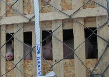 职业教育如何闯过三重壁垒?--教育规划纲要贯