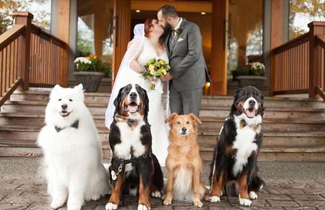 不动产统一登记制度改革的重大意义