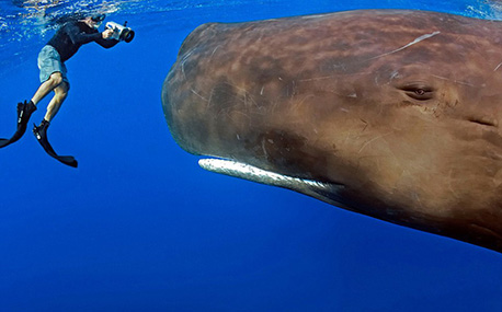 河南:成人高招、教师资格、自考成绩可以查了