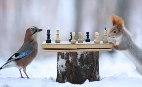 河南设立规模50亿元的PPP开发性基金