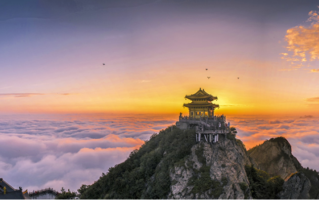 《雲海日出 霞蔚金殿》