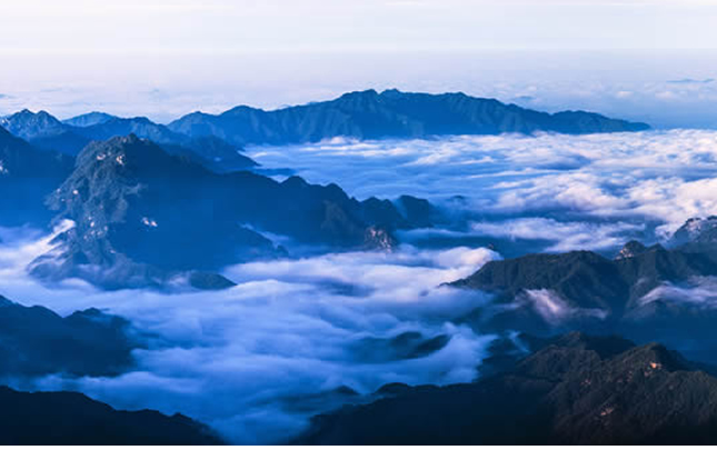 《伏牛雲海》