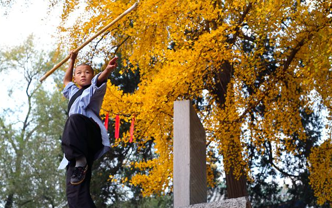 少林寺千年银杏树下的“小拳师”