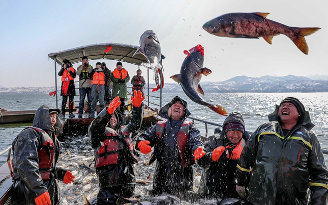 【航拍】洛阳陆浑水库的鱼儿&ldquo;熟了&rdquo;