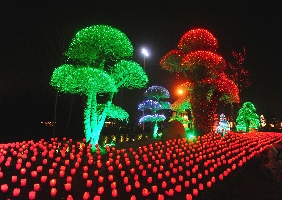 【新春走基层】璀璨灯展点亮郑州绿博园