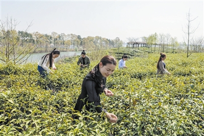 信阳：南湾湖风景区旅游体验活动丰富多彩