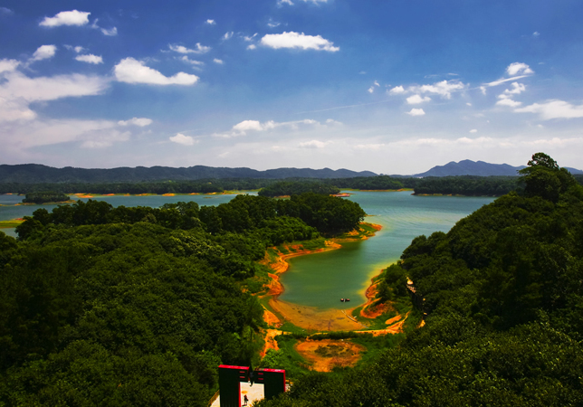 南湾湖茶岛风光