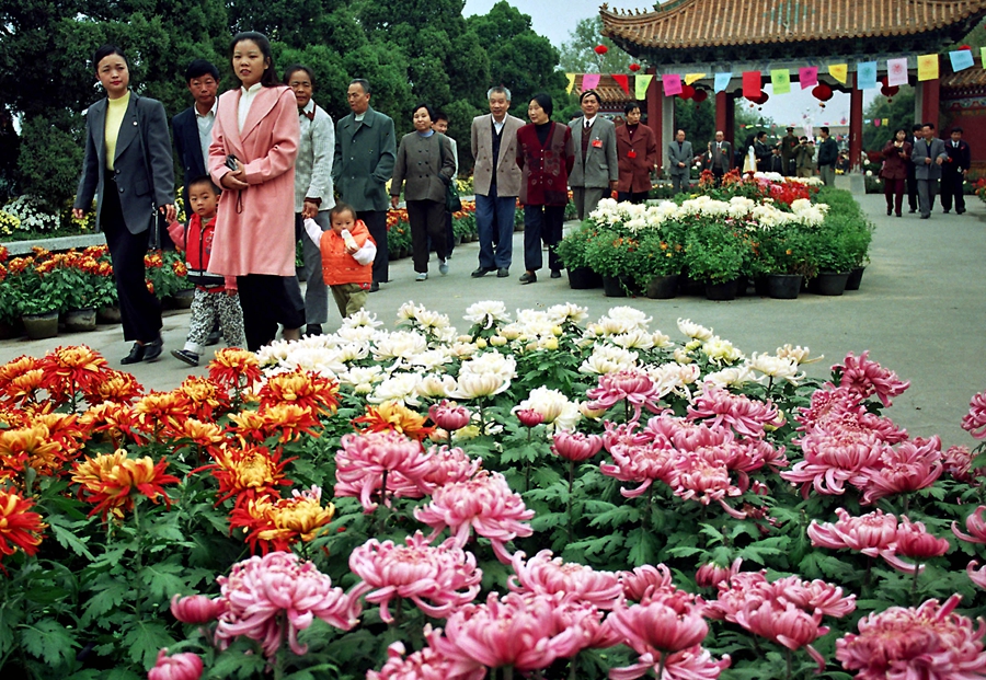 2001年中国开封菊花花会（第十九届）