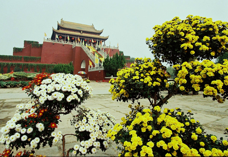 2001年中國開封菊花花會（第十九屆）