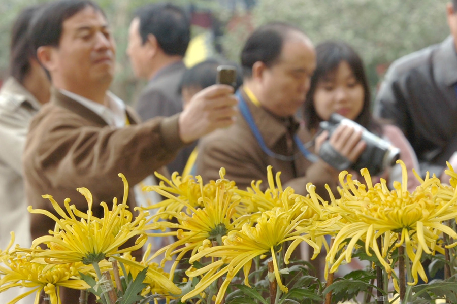 2005 中国开封第23届菊花花会