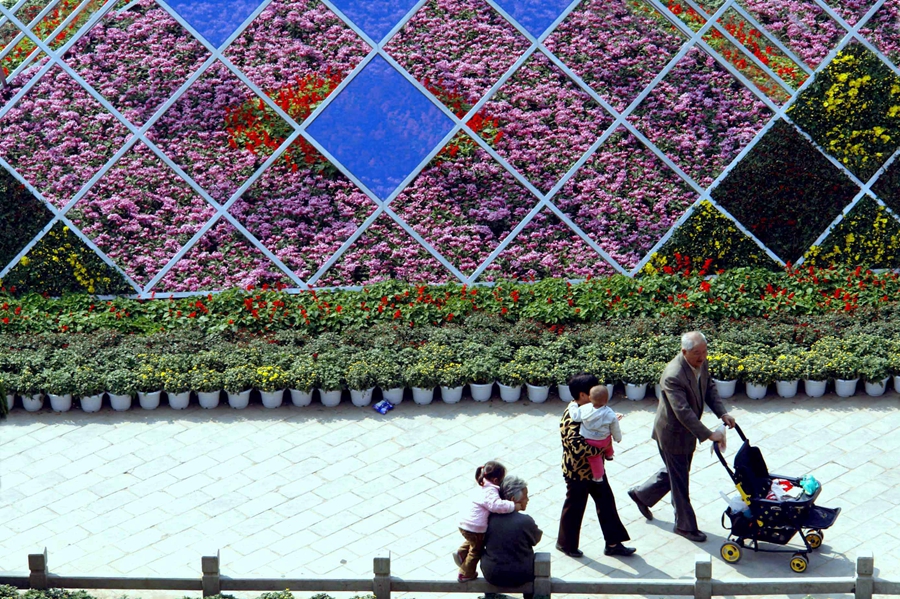 2007 中國開封第25屆菊花花會