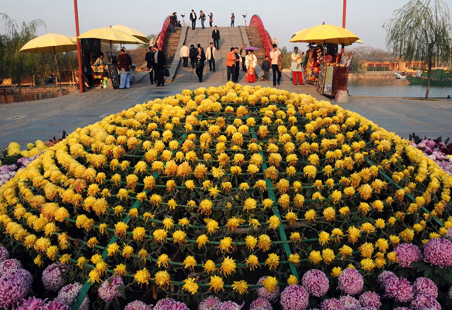 2010 中國開封第28屆菊花花會